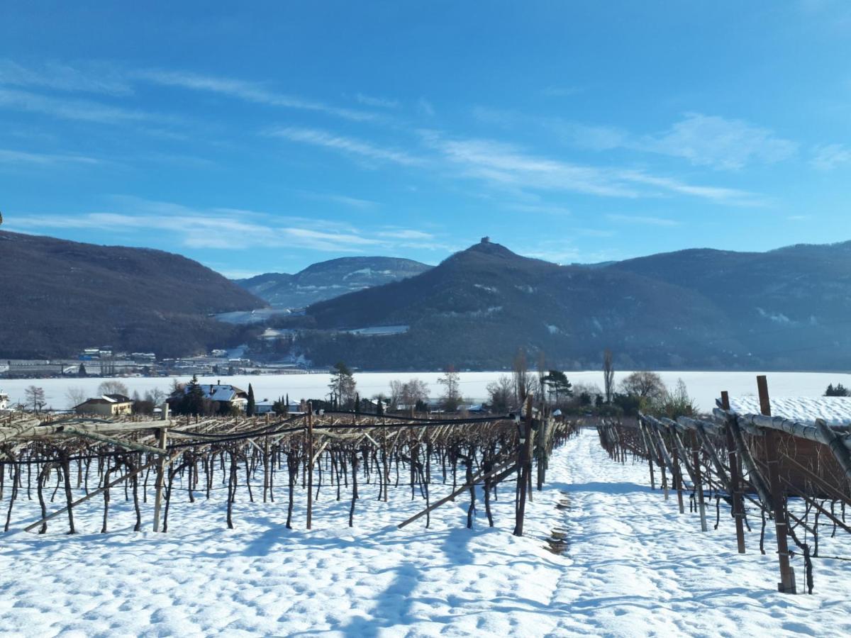 Weingut Weidlhof - Suite & Breakfast - Vacation For Wine Lovers Caldaro Exterior photo